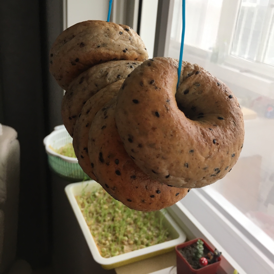 黑芝麻全麦贝果
