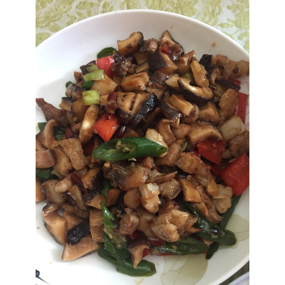 蚝油香菇丁 Shiitake mushroom in oyster sauce