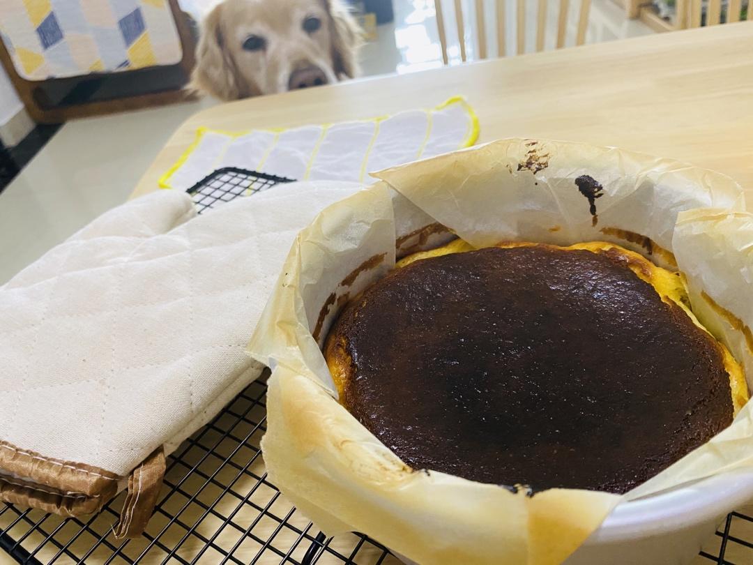 巴斯克芝士蛋糕『最简单的蛋糕』零失败🔥芝士控