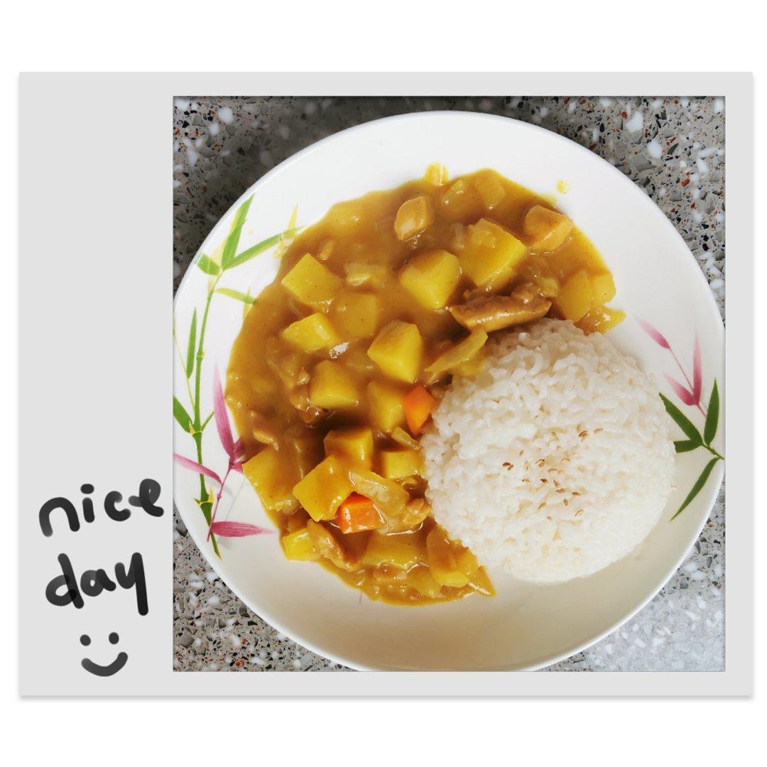 土豆咖喱鸡肉饭