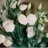 时光蔚蓝