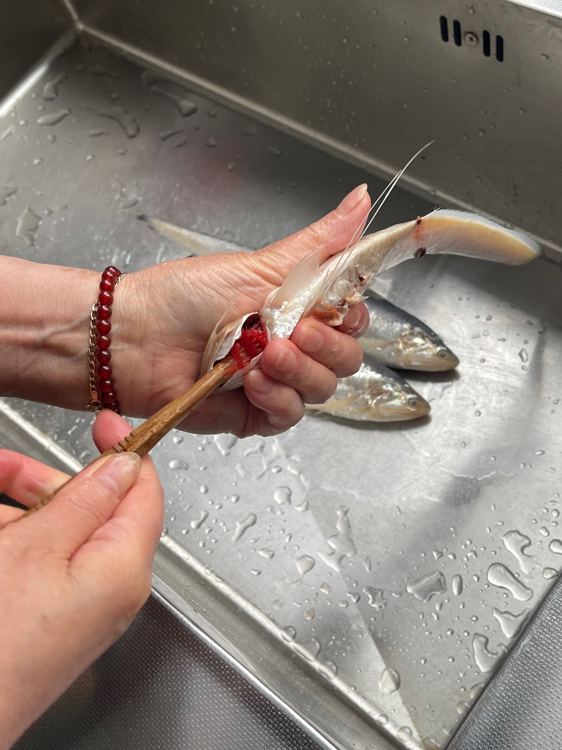 清蒸海刀鱼的做法 步骤2