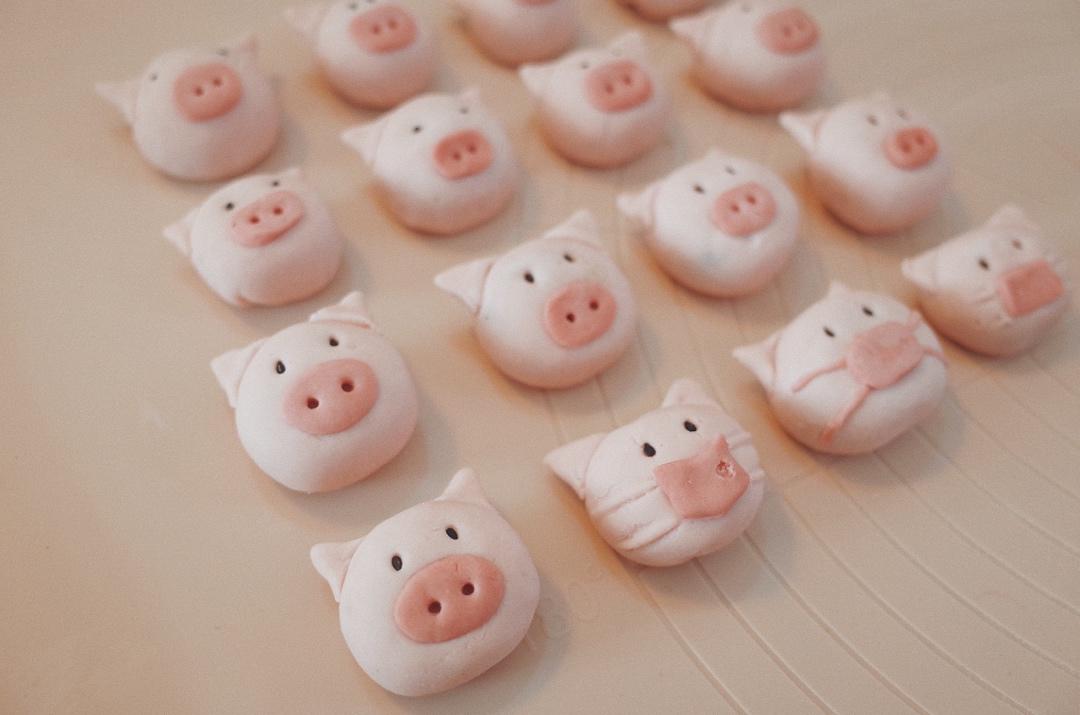 猪猪汤圆卡通汤圆大集合