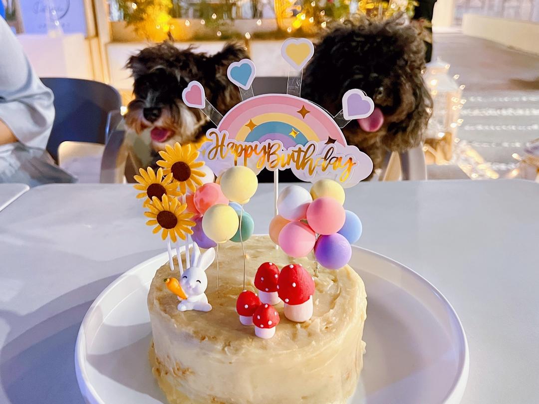 甜系宠物生日蛋糕（仪式感这一块不能少）