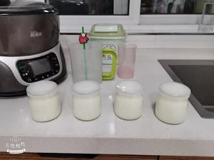 酸奶机做酸奶的做法 步骤3