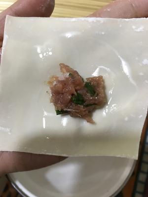 肉馅大馄炖（老麻抄手）的做法 步骤3