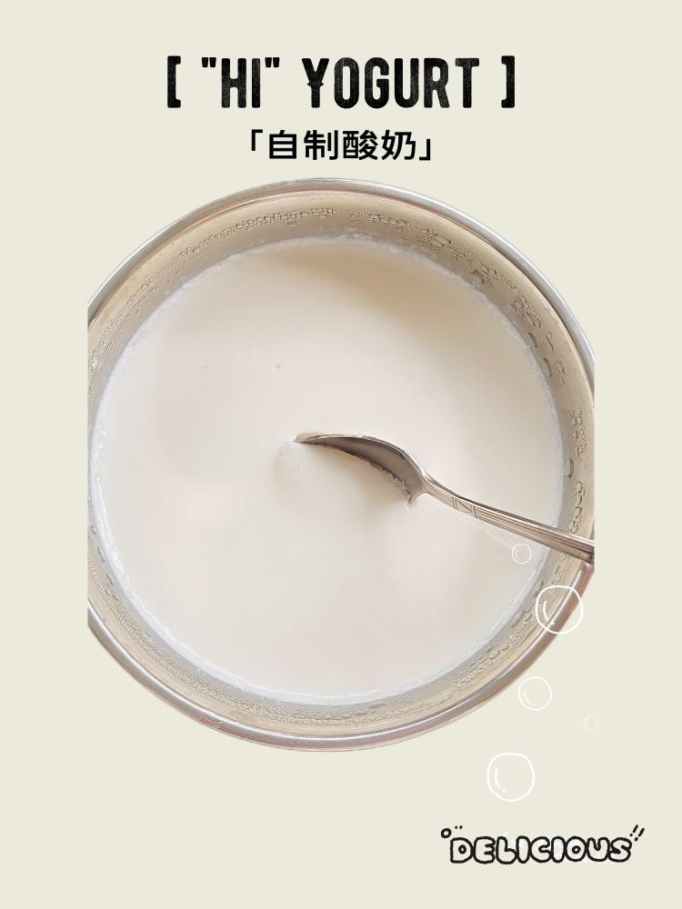 自制酸奶