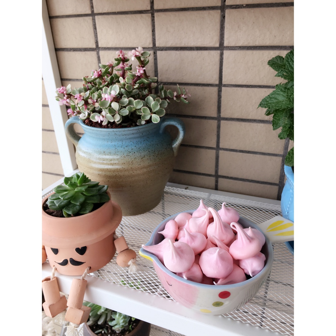如何做出有棱有角+色调美美的蛋白糖