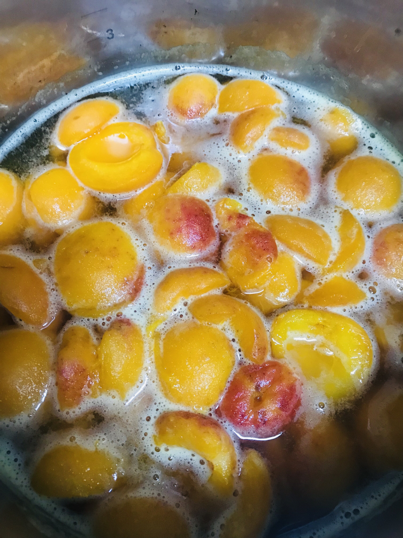 熬点杏子酱，煮碗糖水杏，这个夏天很甜蜜