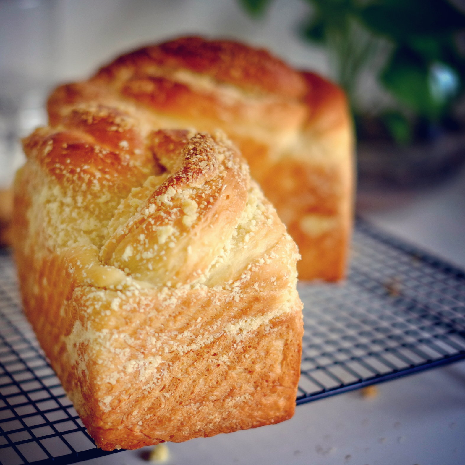 椰蓉吐司面包 Coconut Loaf