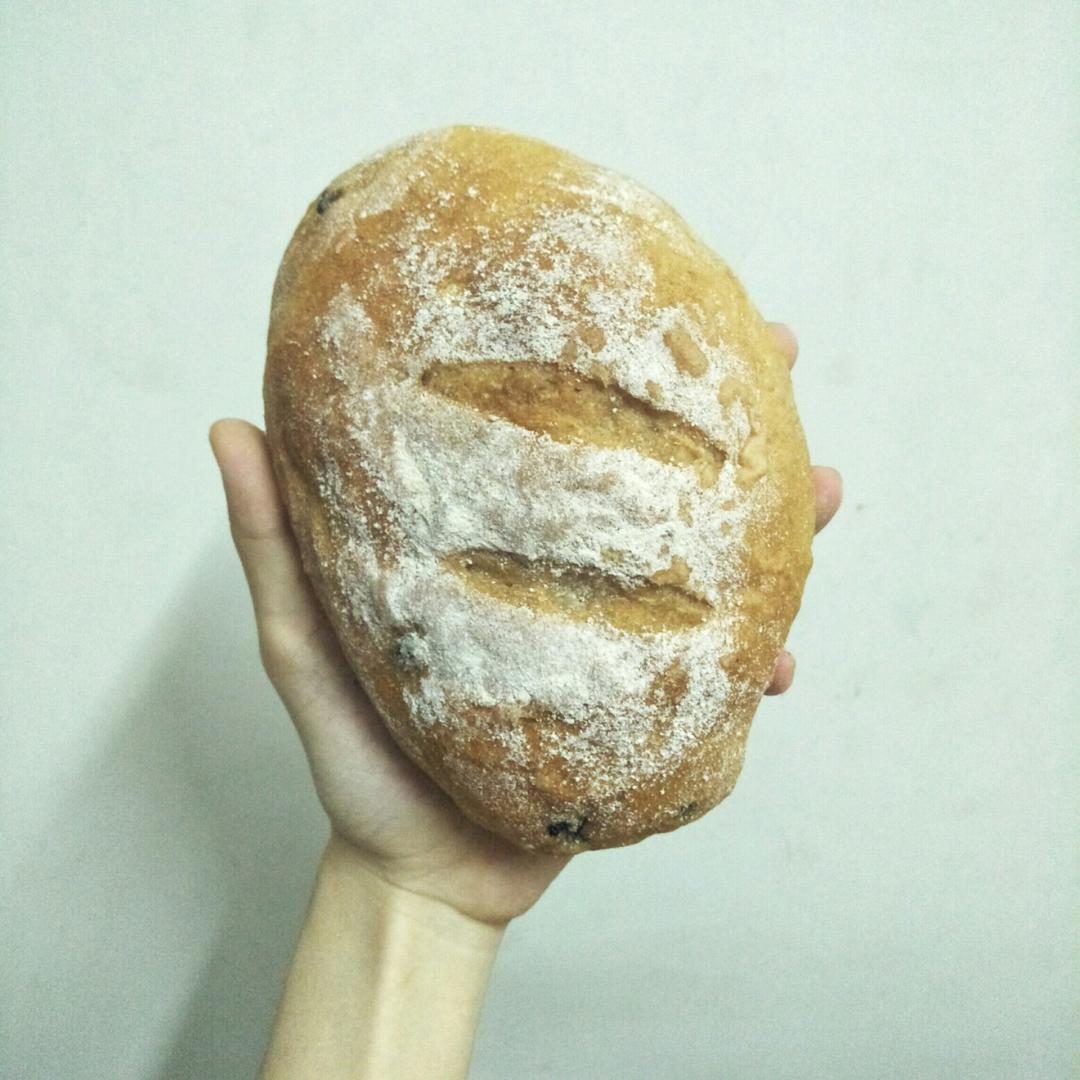 全麦蔓越莓软式欧包（免揉）