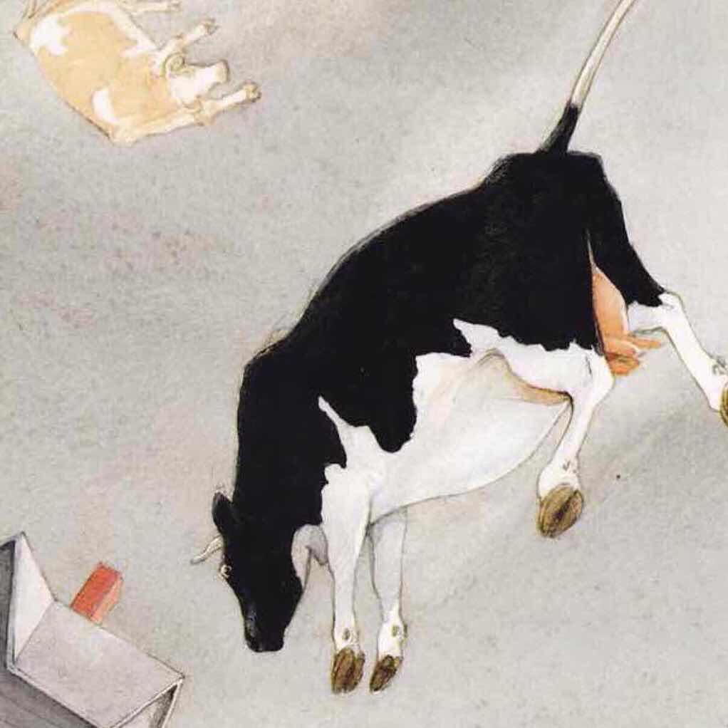 小胖猫猫猫
