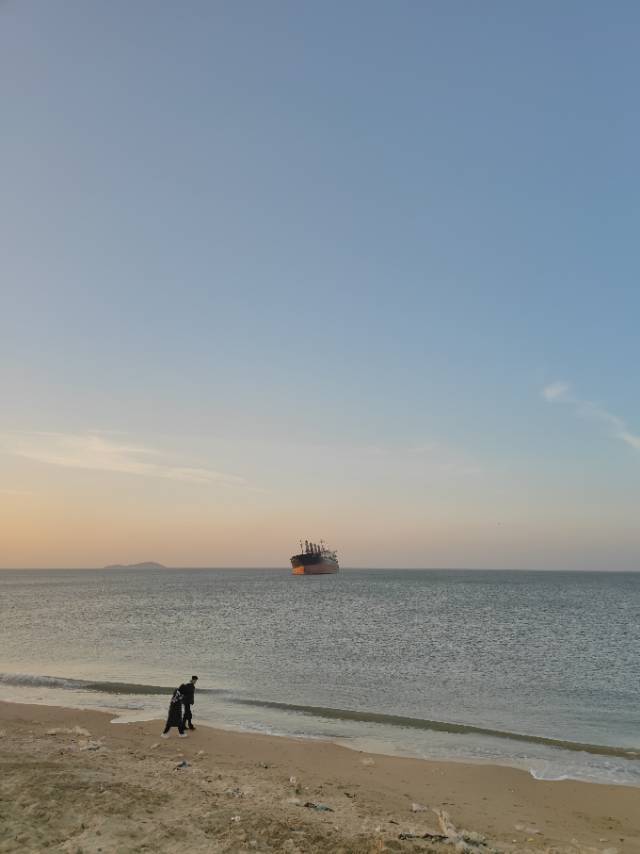 手机用户0831_cvk1