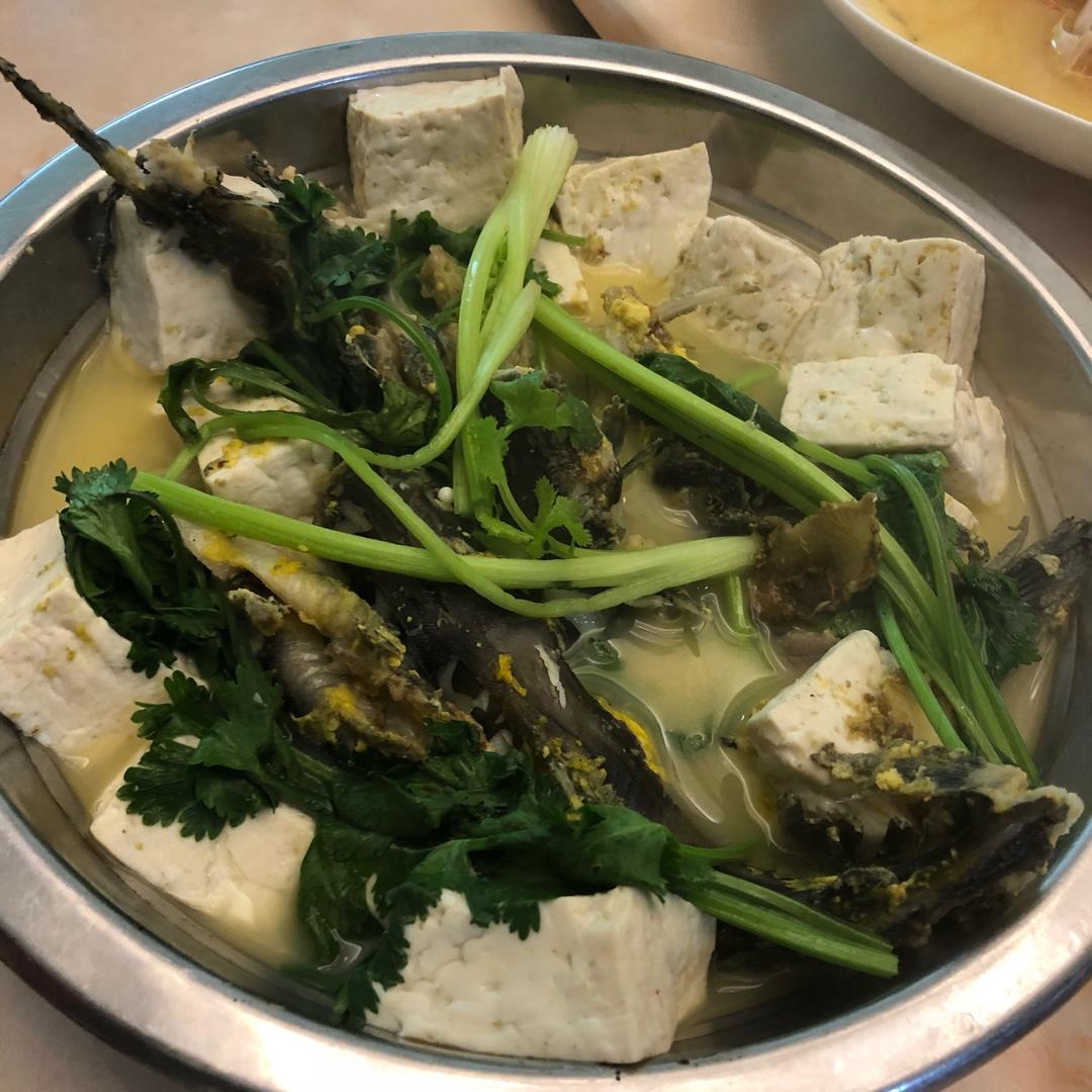 黄刺鱼炖豆腐