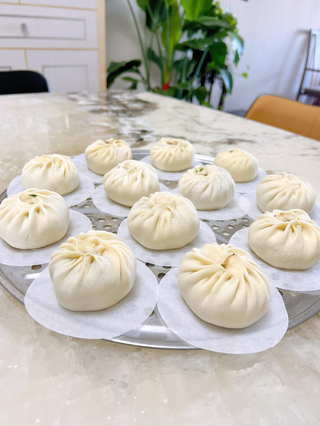 一次发酵肉包子