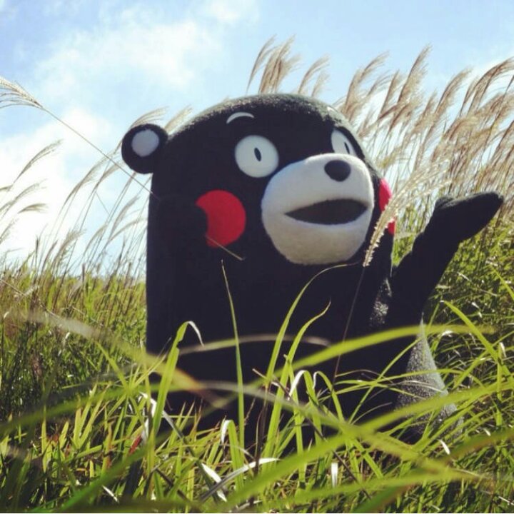 精分小羊羔