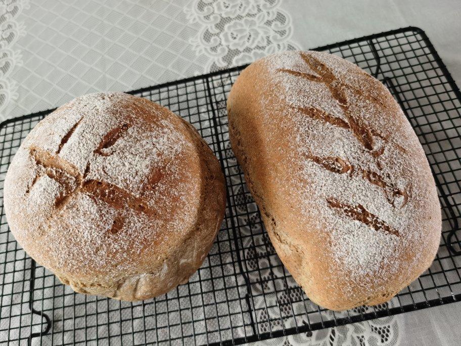 100%无糖无油｜手揉全麦软欧包｜减脂必备