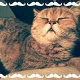 伊索的主人