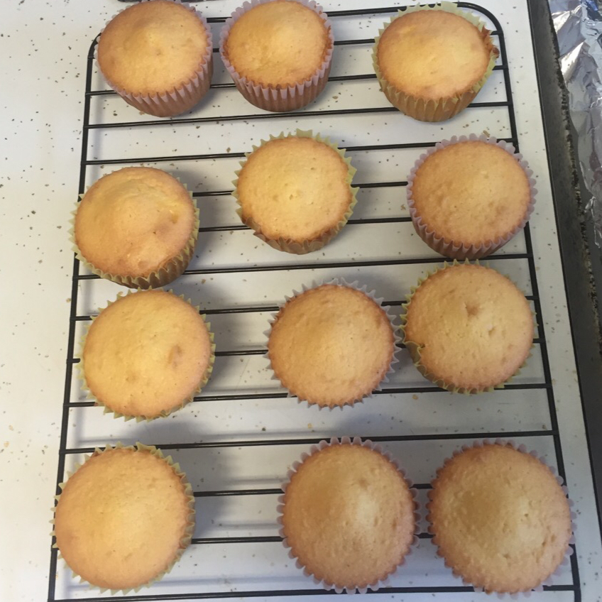 橙香乳酪杯子蛋糕