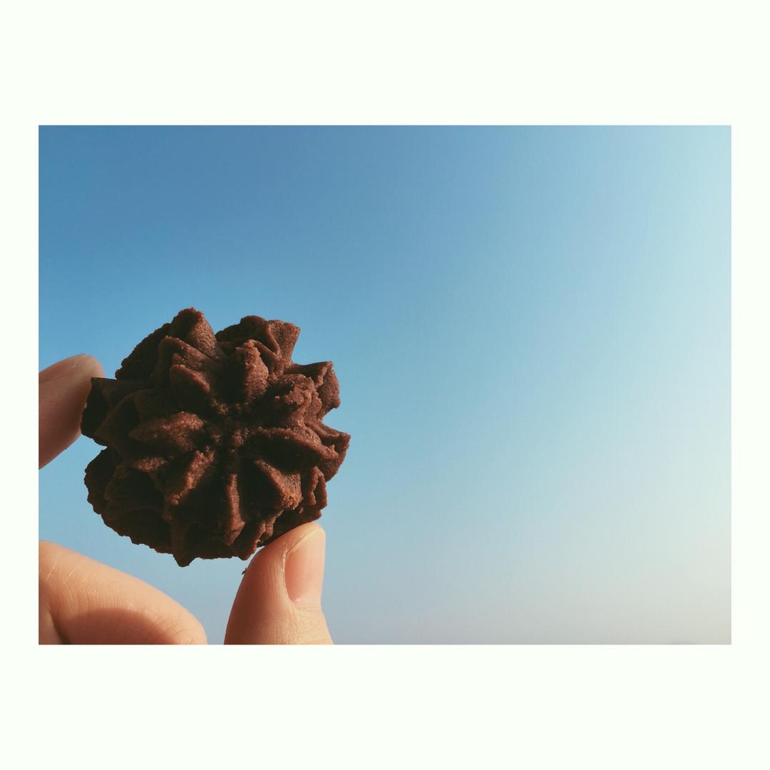 挤花毫无压力的巧克力曲奇