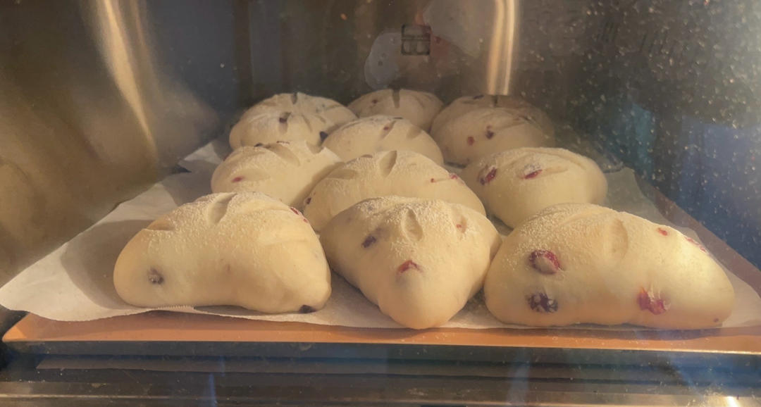 面包店里的常客——蔓越莓奶酪软欧