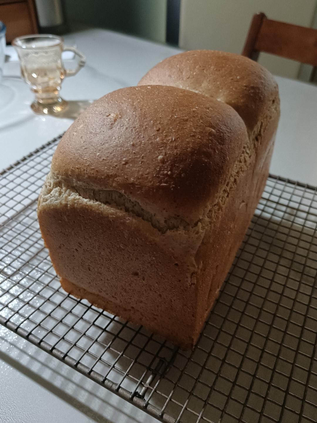 全麦吐司软到下腰🔥会发光❗这个配方绝了