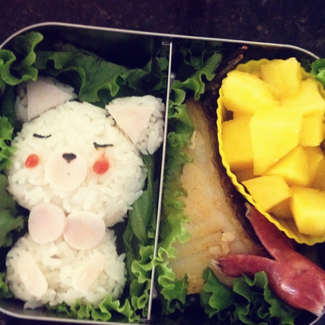 瞌睡小猫饭团便当