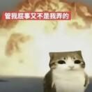 抓个人来嚼嚼