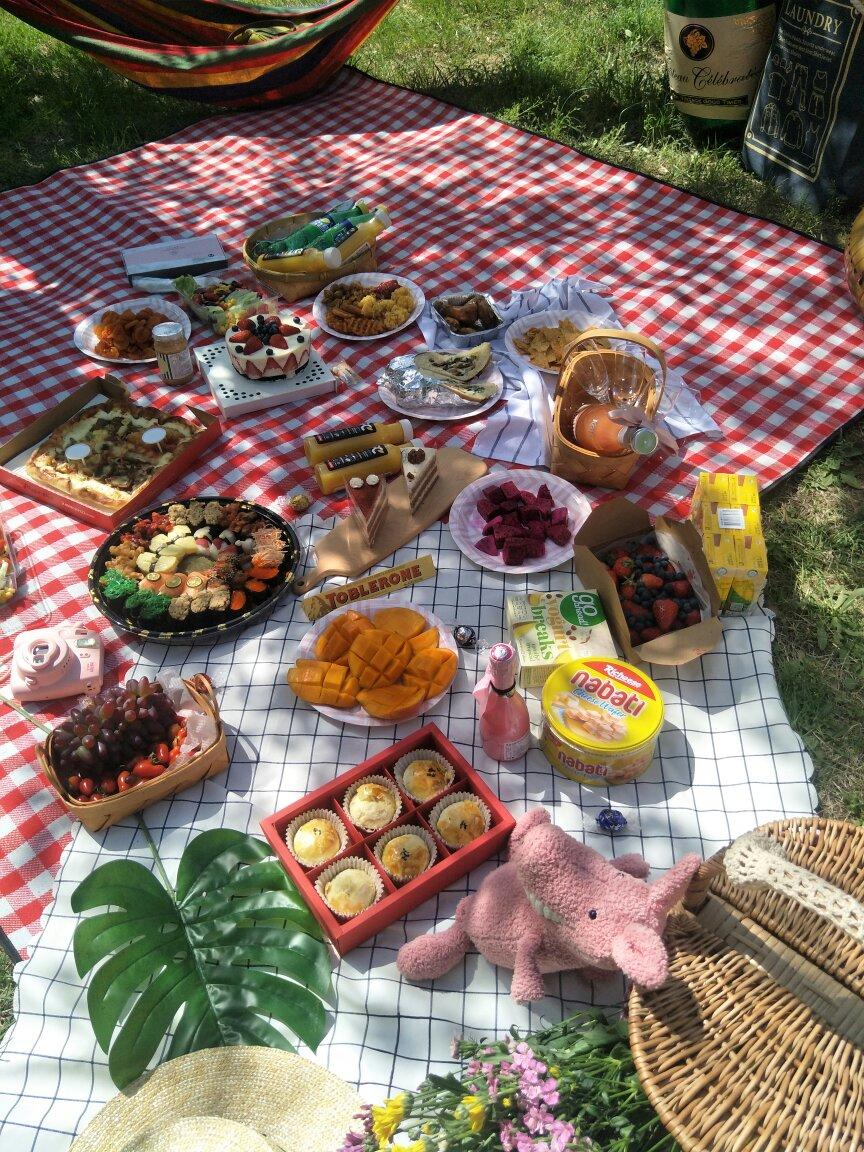 郊游  踏青  野餐