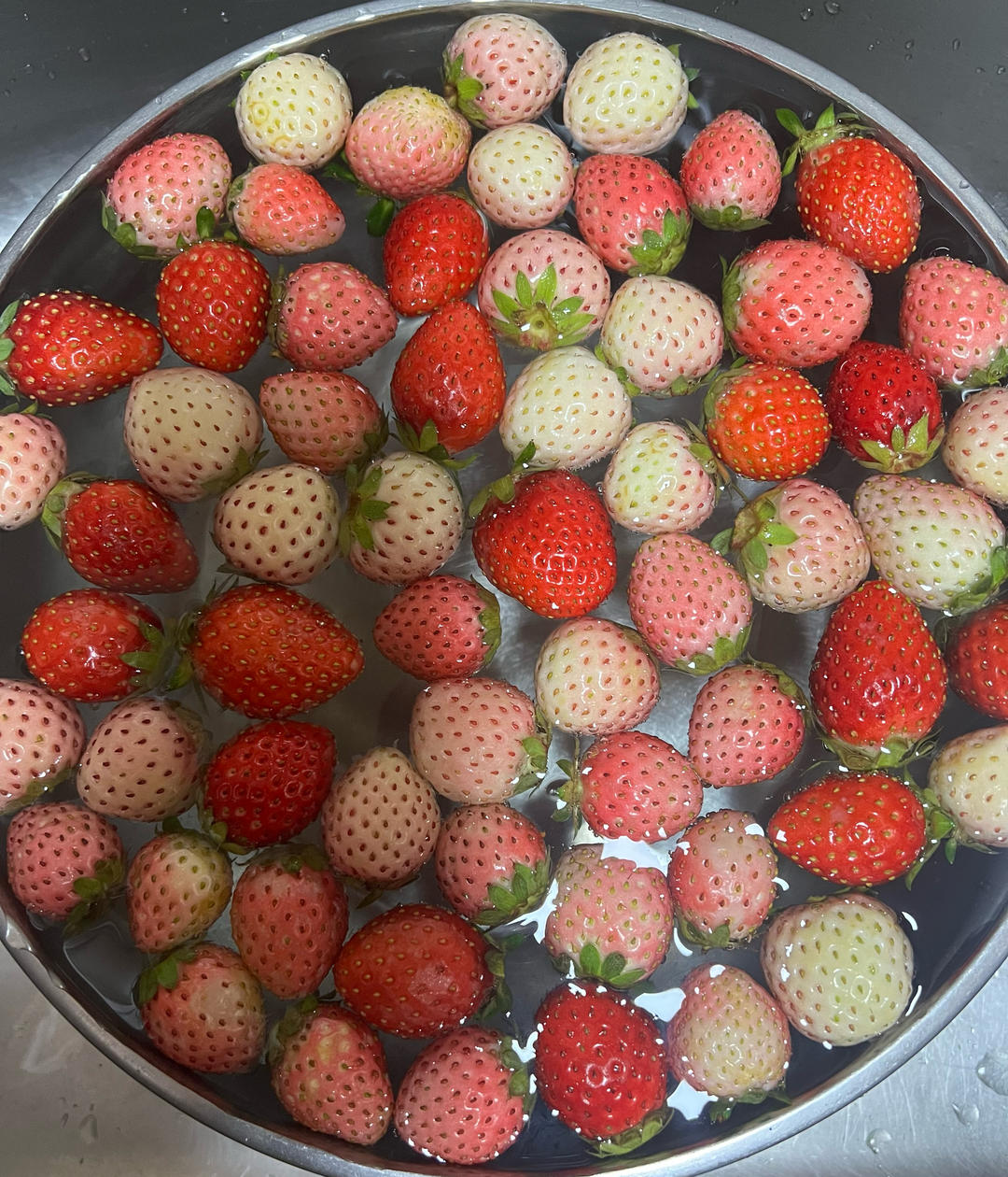 早餐•2026年2月1日