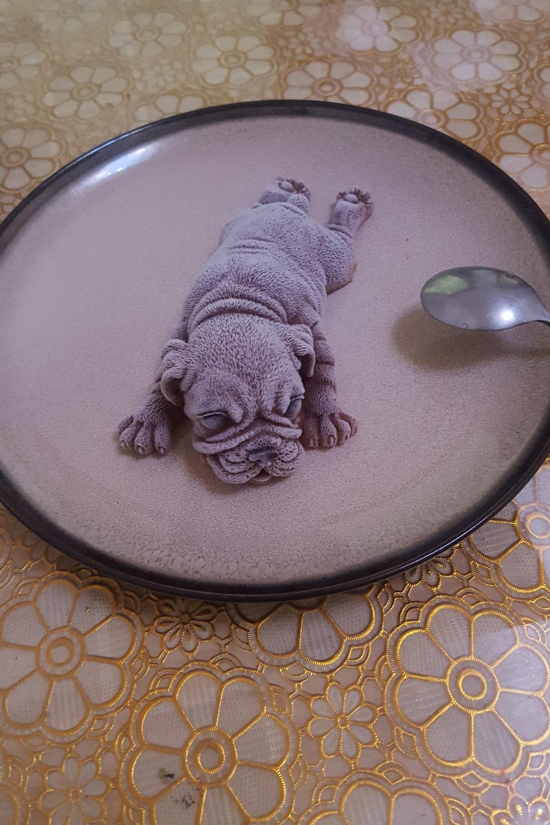 抖音网红沙皮狗～巧克力慕斯蛋糕