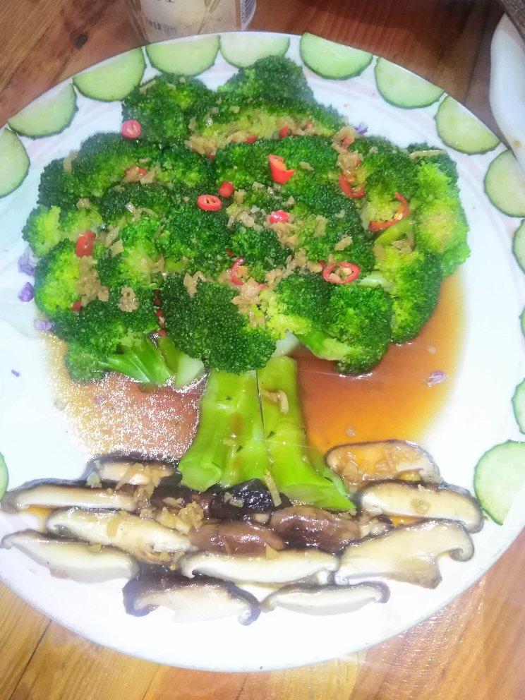 2021-03-02 21:10:50西蓝花之发财树西兰花