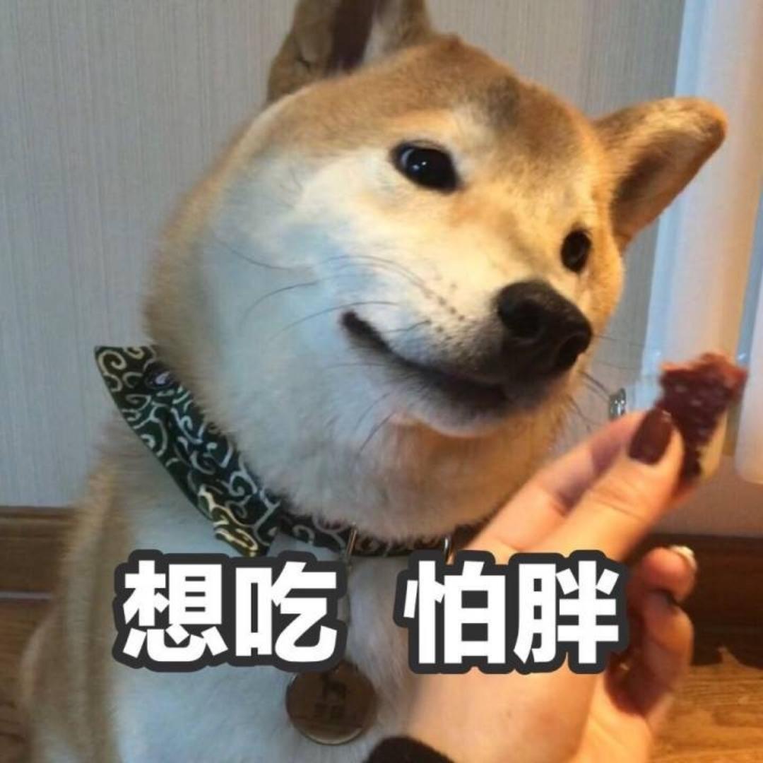 小板凳的家常菜