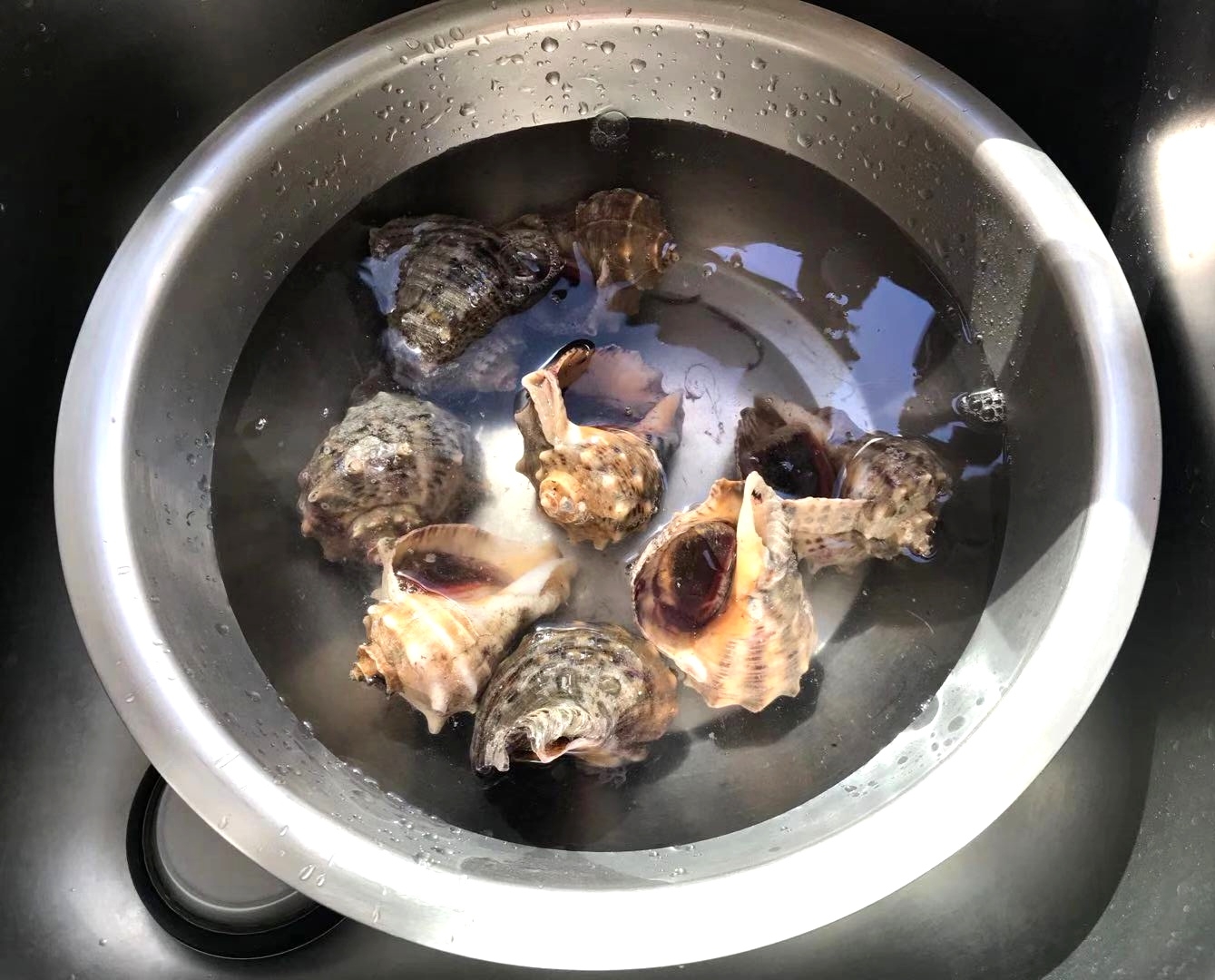 木耳菜拌海螺的做法 步骤1