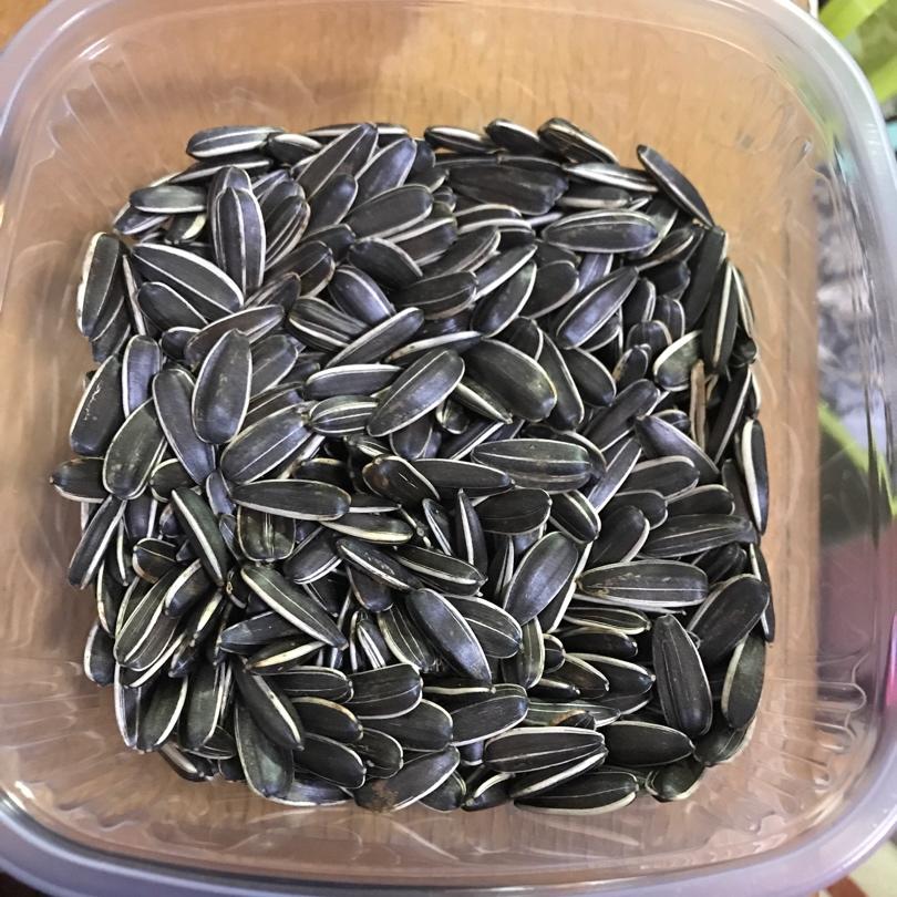 烤五香葵花籽
