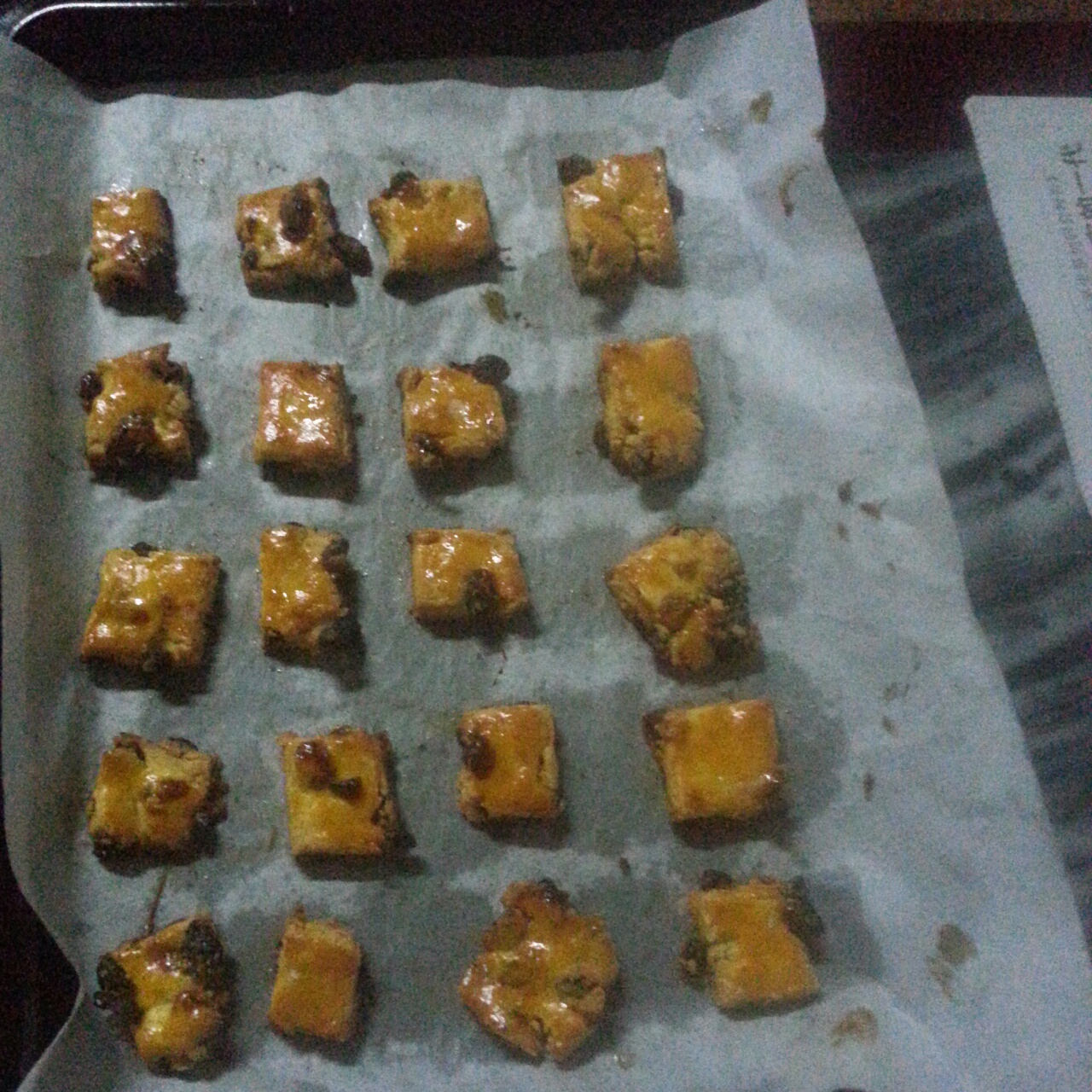 葡萄奶酥（Helen手把手教你做健康美味小点心）