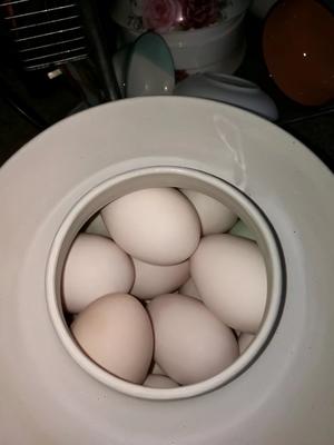 蛋黄冒油蛋清不咸的淹鸭蛋的做法 步骤2
