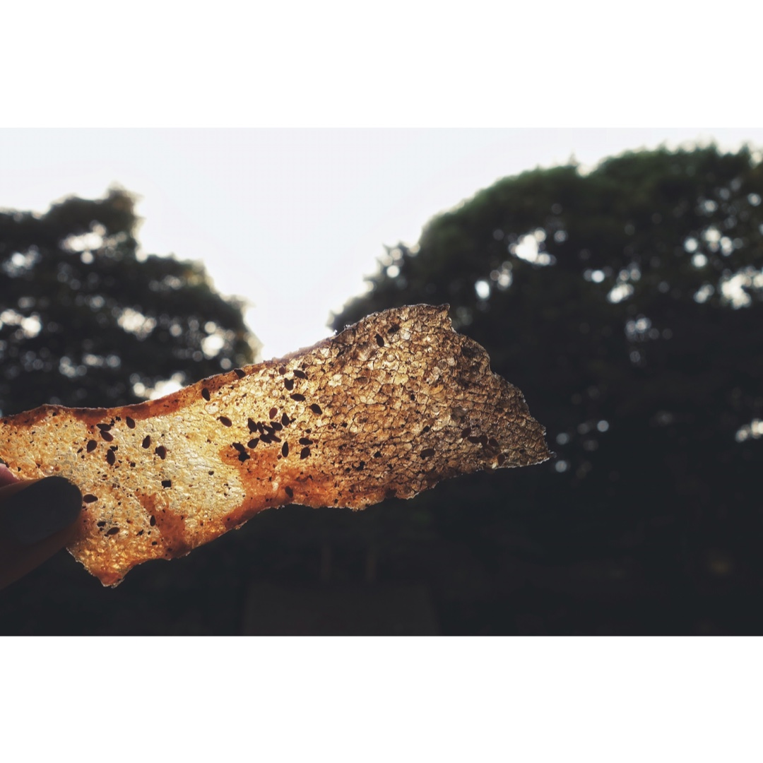 香脆烤三文鱼皮