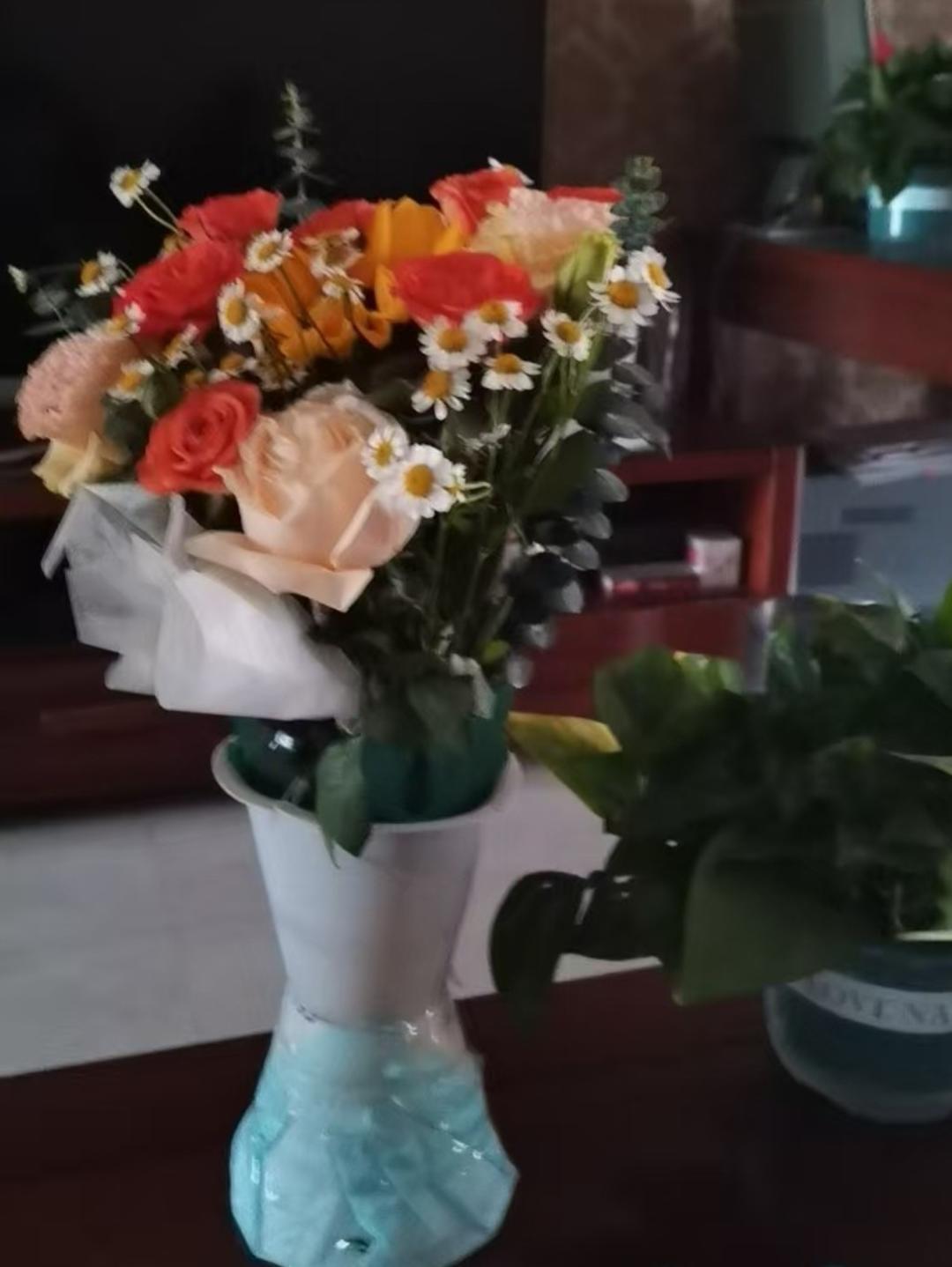 玉兰花开111