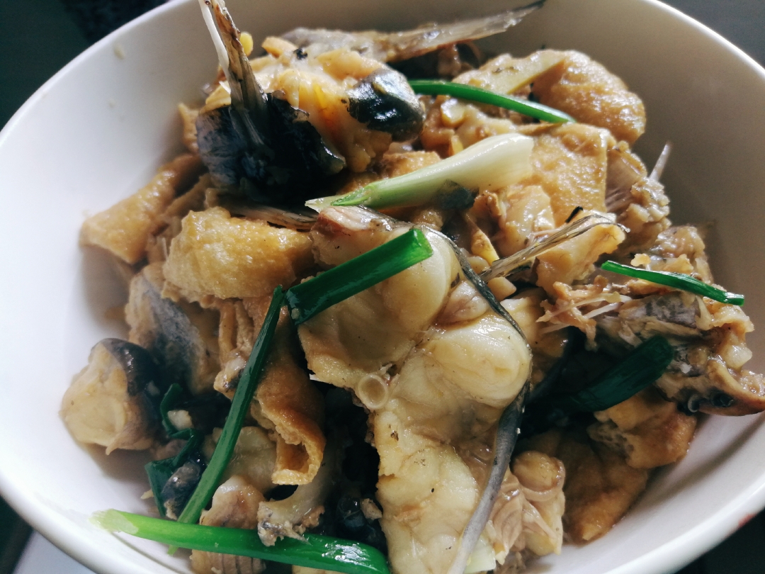 黑角鱼焖豆腐的做法