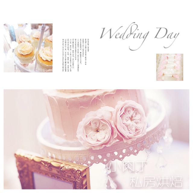 灯灯的美丽蛋糕们