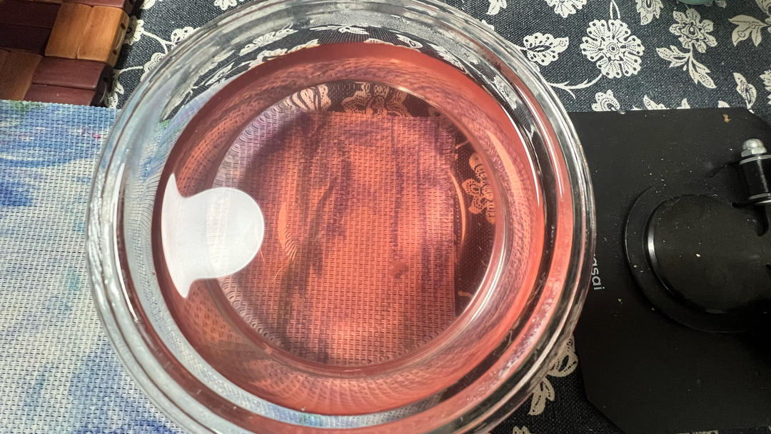 甘蔗杨梅水