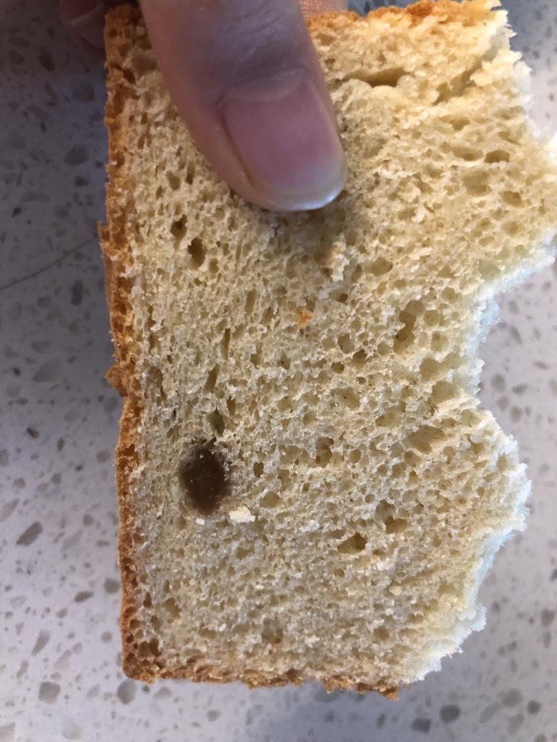 柔软拉丝的100%全麦麦片吐司（一次发酵）