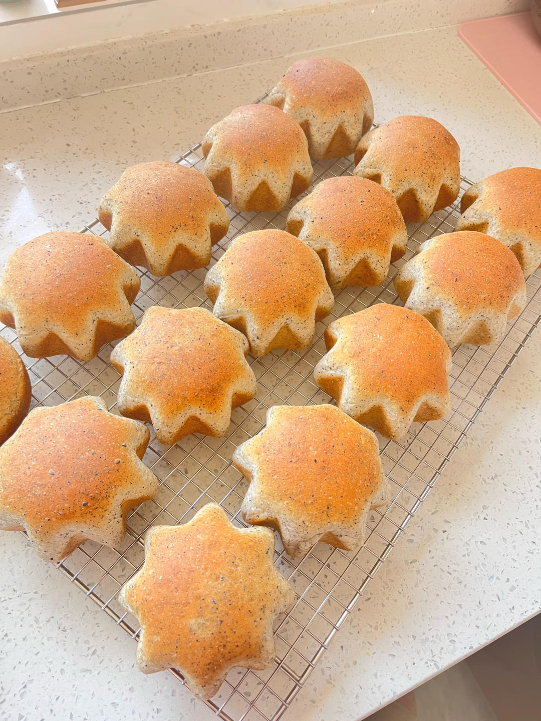 双倍黑芝麻麻薯面包