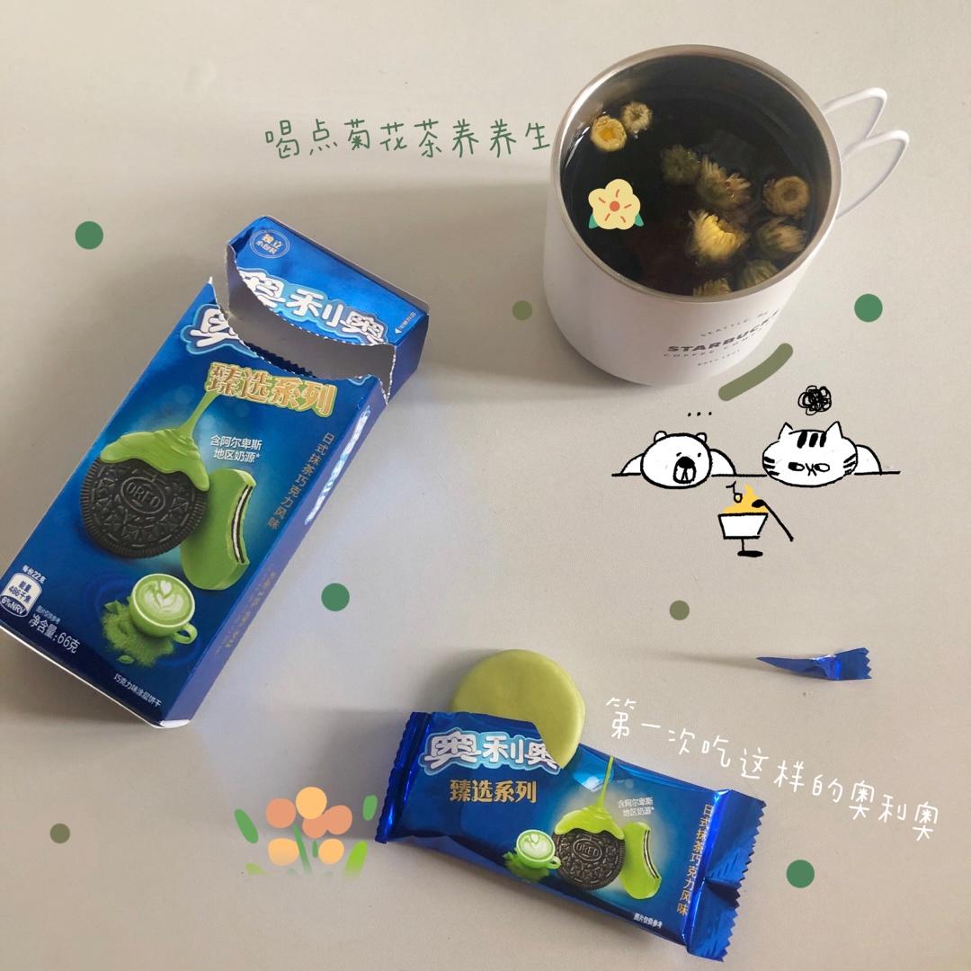 团子的居家生活