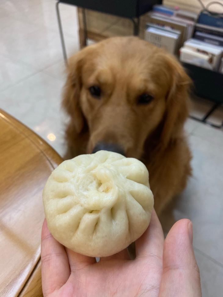 科学态度肉包子🥟（精确到克收获幸福人生）