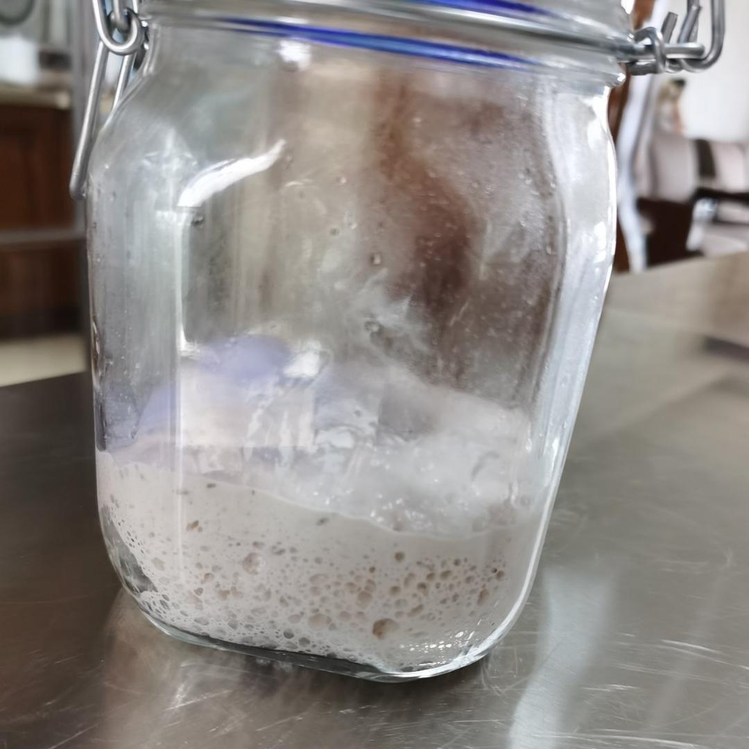 面包天然酵母培养使用全攻略                                           （葡萄天然酵种）