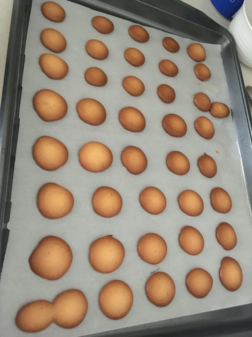 鸡蛋小饼干