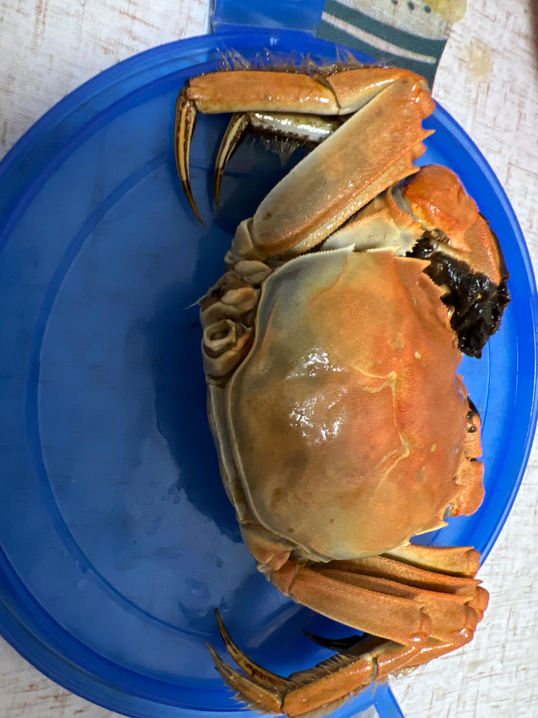 秘制江南熟醉蟹