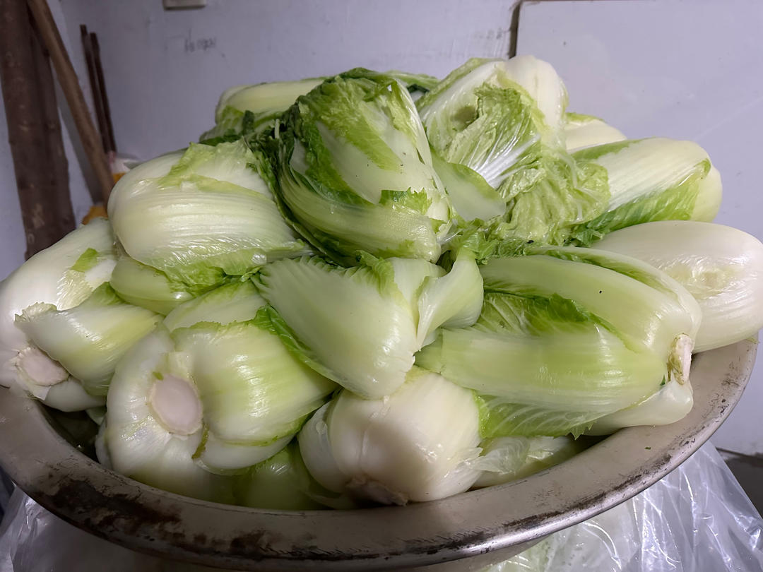 新鲜上市的蔬菜